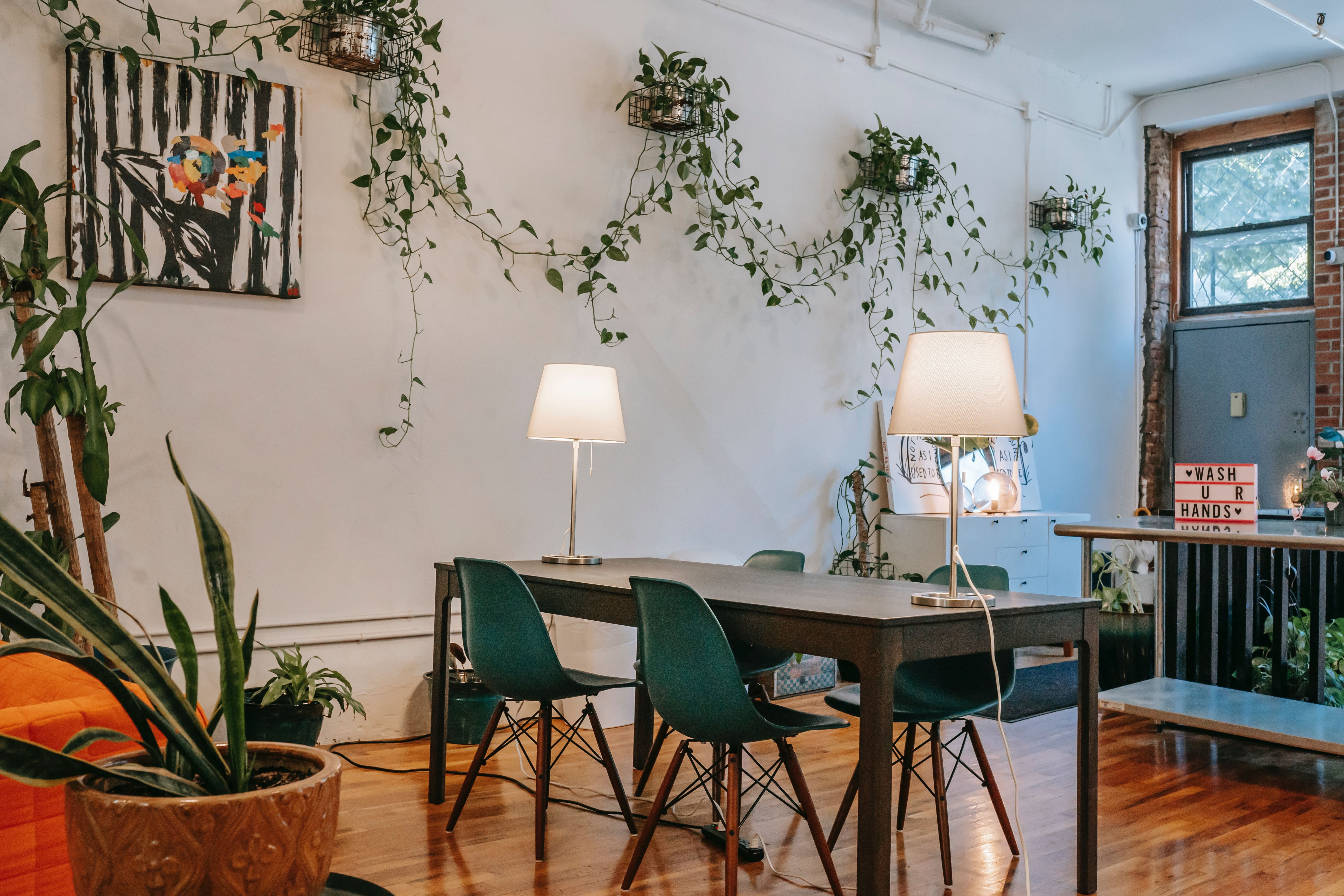 How To Make Eco friendly Interior Designs 